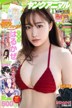 罪城电视剧