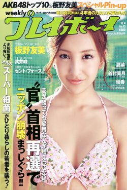 电视剧伪装者