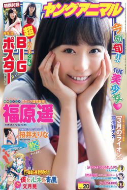 星空影院电视剧免费播放