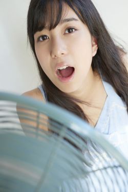 电视剧女婿难当