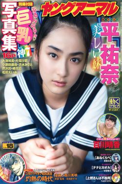 火鸟 韩剧